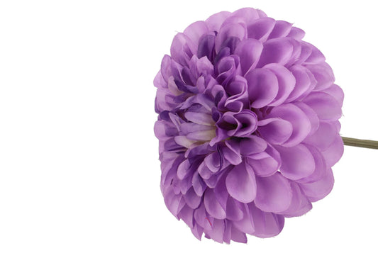 Silk dahlia bold - Purple