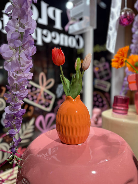 Vaasje tulp - Oranje