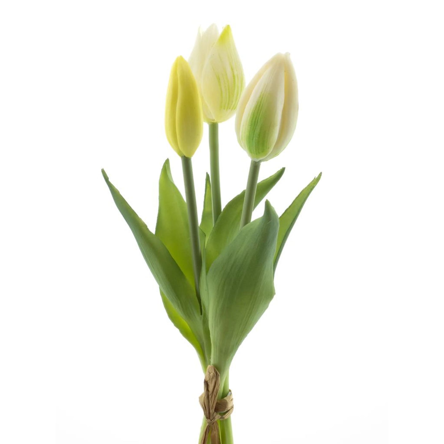 Bosje tulpen 3 - Creme