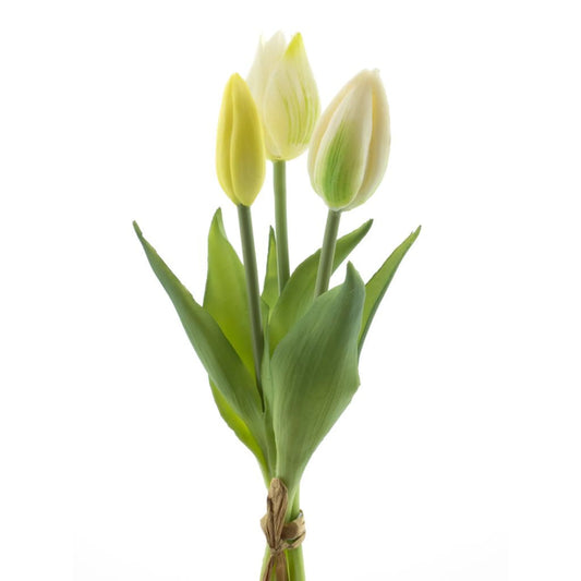 Bosje tulpen 3 - Creme
