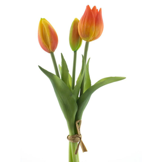 Bosje tulpen 3 - Oranje