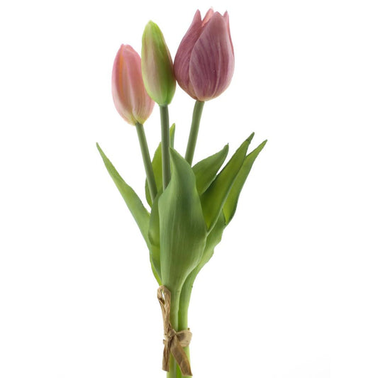 Bosje tulpen 3 - Pink