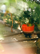 Afbeelding in Gallery-weergave laden, Retro flower pot - Cherry red
