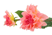 Afbeelding in Gallery-weergave laden, Silk dahlia - Peach/pink
