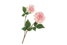 Afbeelding in Gallery-weergave laden, Silk Dahlia - Light pink
