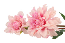 Afbeelding in Gallery-weergave laden, Silk Dahlia - Light pink
