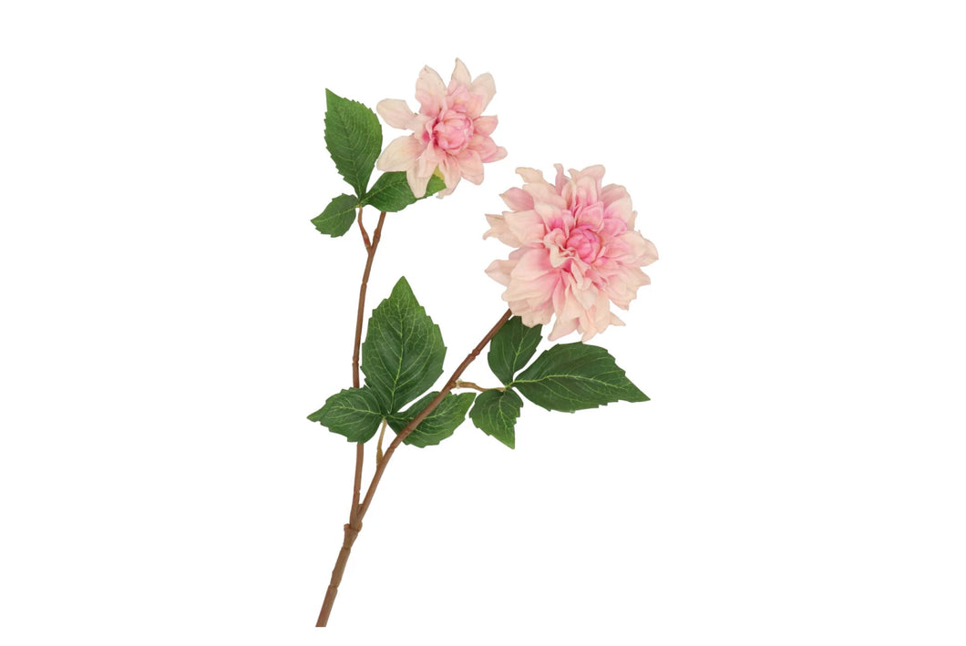 Silk Dahlia - Light pink