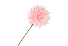 Afbeelding in Gallery-weergave laden, Silk Dahlia Pointy - Light pink
