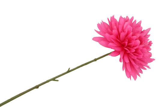 Silk dahlia pointy - Fuchsia
