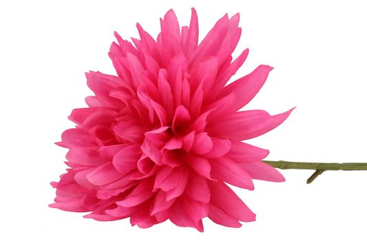 Silk dahlia pointy - Fuchsia