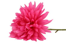 Afbeelding in Gallery-weergave laden, Silk dahlia pointy - Fuchsia
