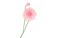 Afbeelding in Gallery-weergave laden, Silk Dahlia spike - Light pink
