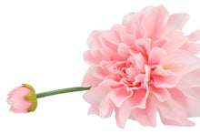 Afbeelding in Gallery-weergave laden, Silk Dahlia spike - Light pink
