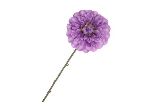 Silk dahlia bold - Purple