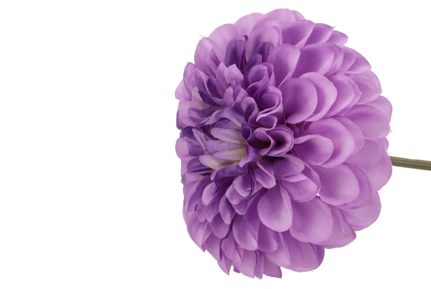 Silk dahlia bold - Purple