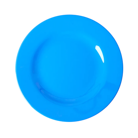 Melamine plate - Rice blauw