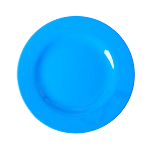 Melamine plate - Rice blauw