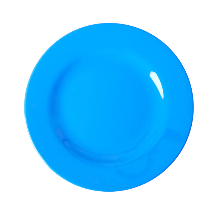 Melamine plate - Rice blauw