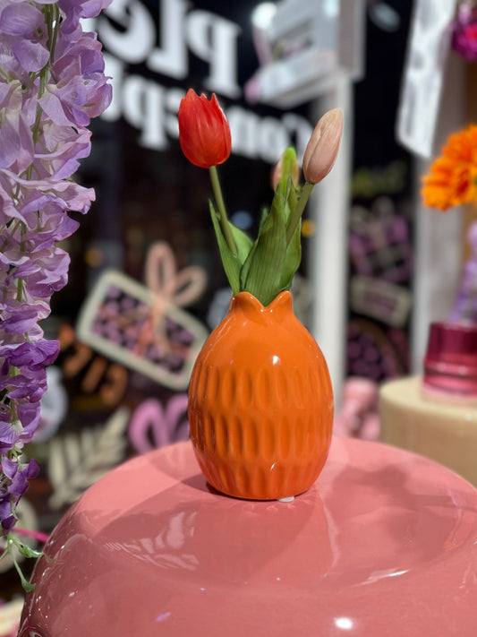 Vaasje tulp - Oranje