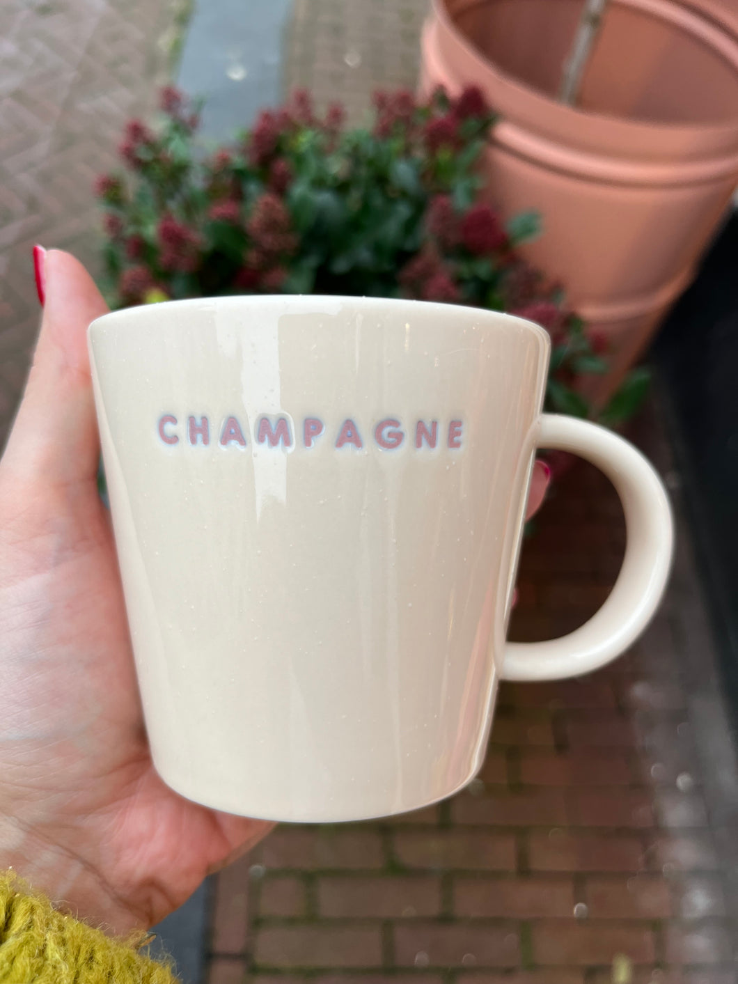 Theemok Crème - Champagne