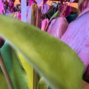 Real touch tulpen klein - Paars