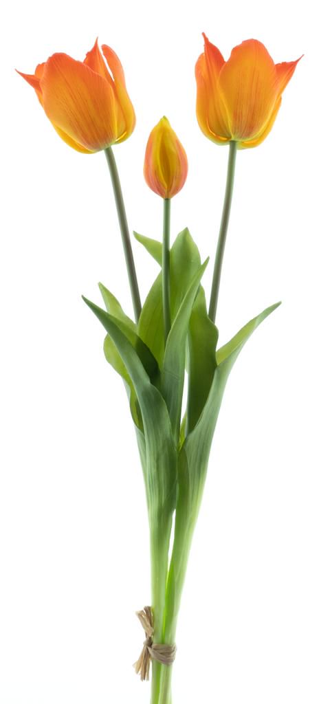 Real touch tulpen groot - Oranje