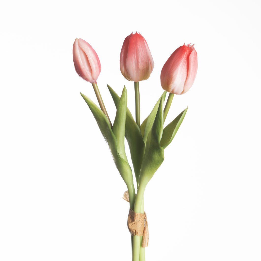 Real touch tulpen 3 - Beauty
