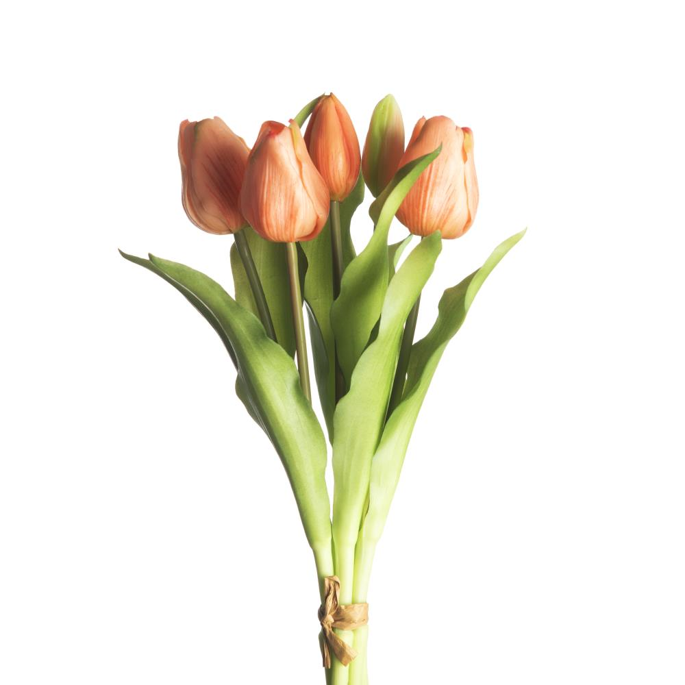 Real touch tulpen 5 - Peach