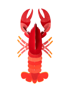 Studio ROOF - Lobster