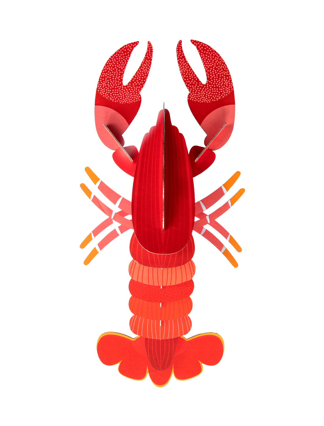 Studio ROOF - Lobster