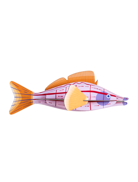 Studio ROOF - Longnose Hawkfish