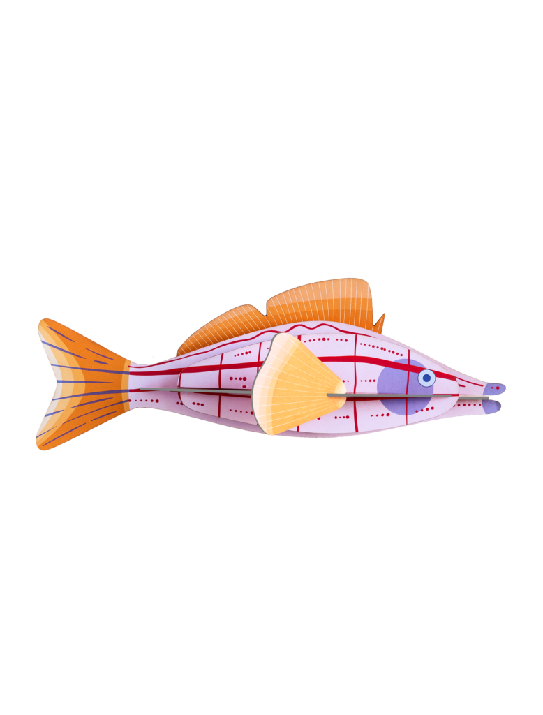 Studio ROOF - Longnose Hawkfish