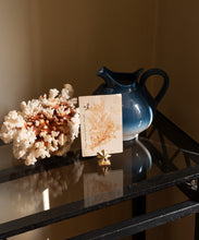 Afbeelding in Gallery-weergave laden, Doing Goods - Oda Ster Kaarthouder
