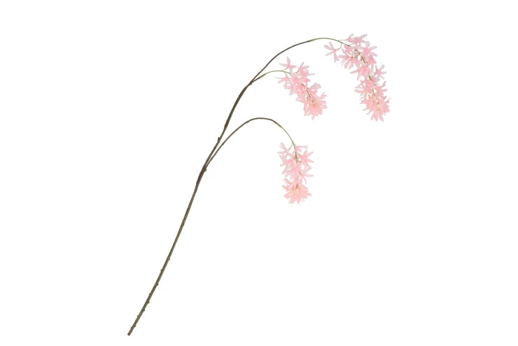 Wisteria - Lichtroze