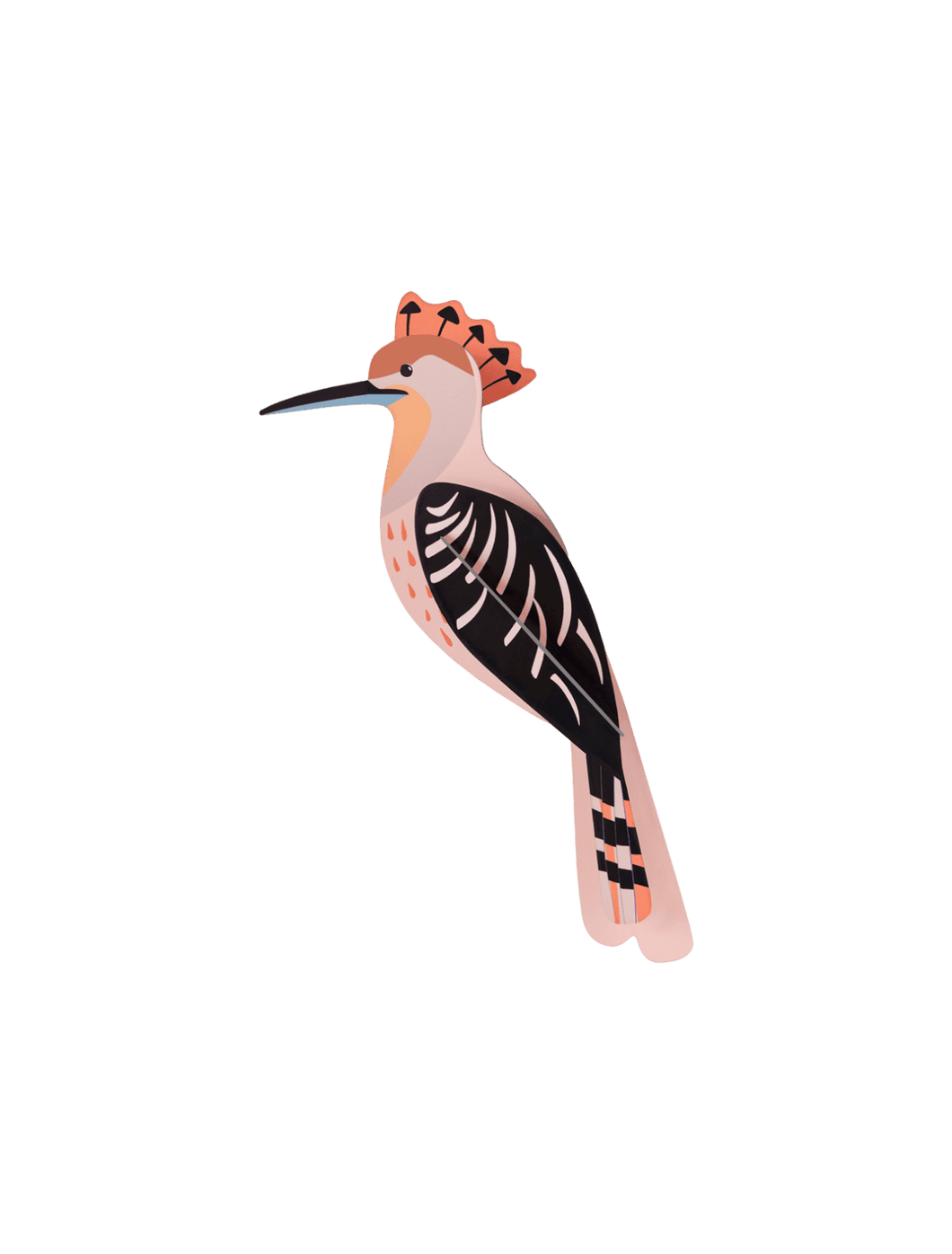 Studio ROOF - Hoopoe