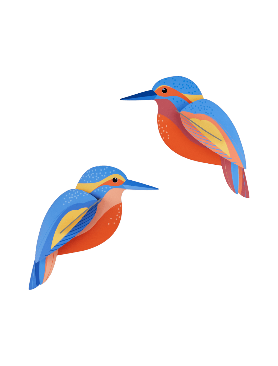 Studio ROOF - Kingfishers